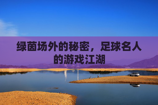 绿茵场外的秘密，足球名人的游戏江湖
