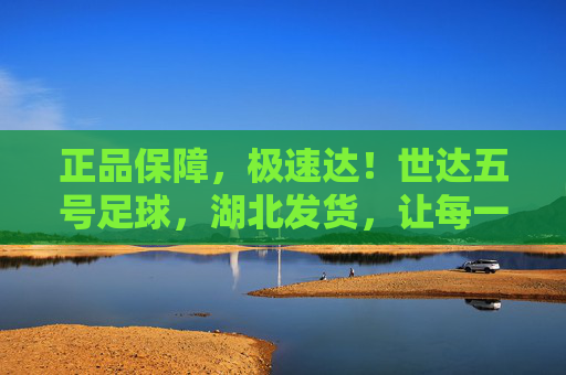 正品保障,极速达!世达五号足球,湖北发货,让每一次传球更精准
