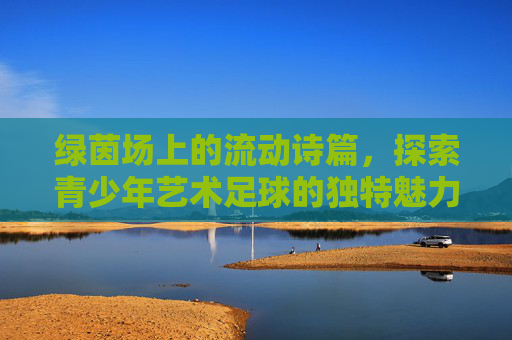 绿茵场上的流动诗篇,探索青少年艺术足球的独特魅力