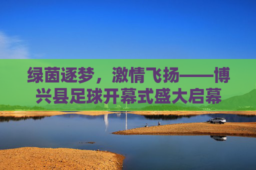 绿茵逐梦，激情飞扬——博兴县足球开幕式盛大启幕