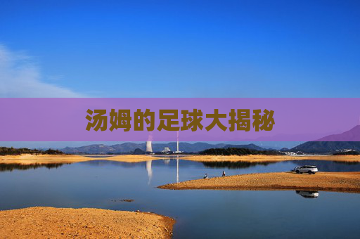 汤姆的足球大揭秘