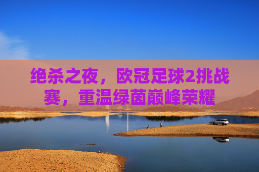 绝杀之夜，欧冠足球2挑战赛，重温绿茵巅峰荣耀