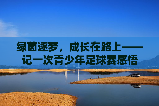 绿茵逐梦，成长在路上——记一次青少年足球赛感悟