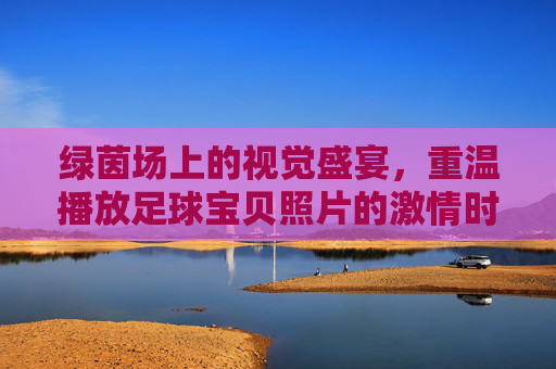 绿茵场上的视觉盛宴,重温播放足球宝贝照片的激情时刻