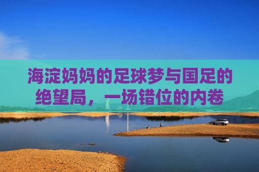 海淀妈妈的足球梦与国足的绝望局,一场错位的内卷