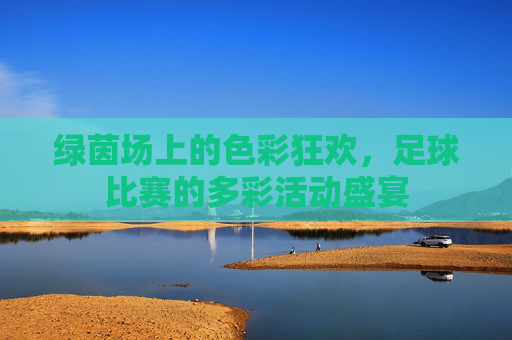 绿茵场上的色彩狂欢,足球比赛的多彩活动盛宴