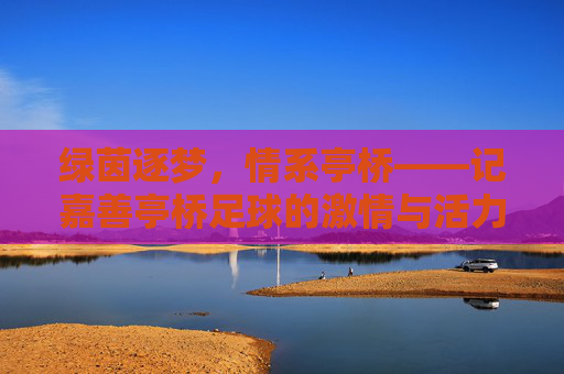 绿茵逐梦,情系亭桥——记嘉善亭桥足球的激情与活力