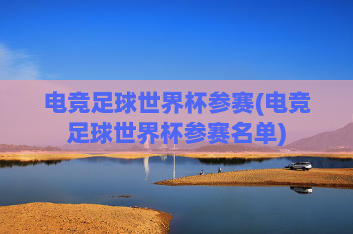 电竞足球世界杯参赛(电竞足球世界杯参赛名单)