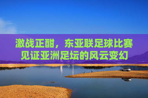 激战正酣，东亚联足球比赛见证亚洲足坛的风云变幻