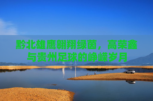 黔北雄鹰翱翔绿茵,高荣鑫与贵州足球的峥嵘岁月