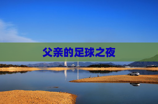 父亲的足球之夜