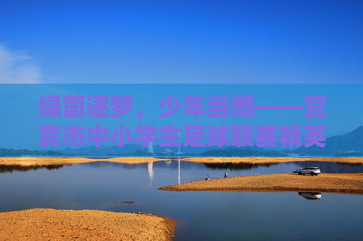 绿茵逐梦,少年当燃——宜宾市中小学生足球联赛精英阵容名单全曝光