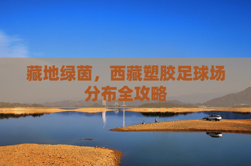藏地绿茵,西藏塑胶足球场分布全攻略