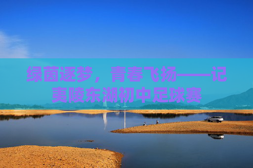 绿茵逐梦,青春飞扬——记夷陵东湖初中足球赛