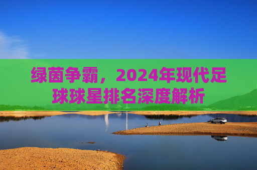 绿茵争霸,2024年现代足球球星排名深度解析