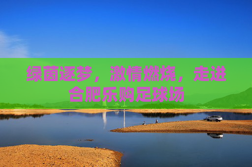 绿茵逐梦,激情燃烧,走进合肥乐购足球场