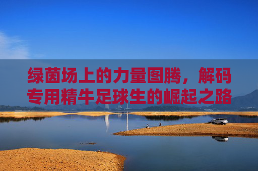 绿茵场上的力量图腾,解码专用精牛足球生的崛起之路
