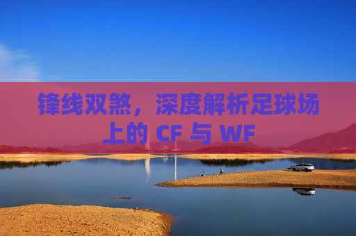 锋线双煞,深度解析足球场上的 CF 与 WF