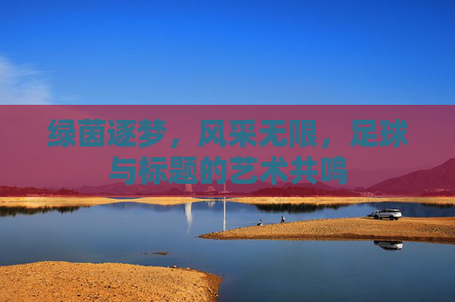 绿茵逐梦,风采无限,足球与标题的艺术共鸣