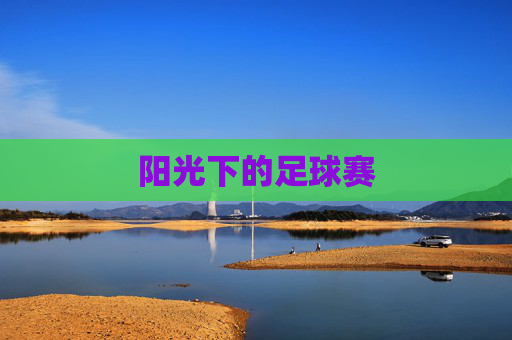 阳光下的足球赛