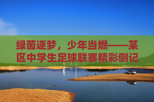 绿茵逐梦,少年当燃——某区中学生足球联赛精彩侧记
