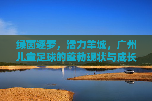 绿茵逐梦，活力羊城，广州儿童足球的蓬勃现状与成长力量