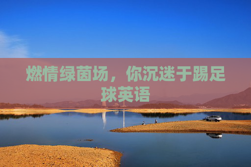 燃情绿茵场,你沉迷于踢足球英语