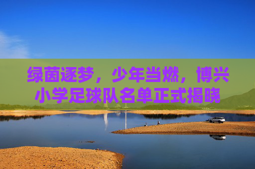 绿茵逐梦,少年当燃,博兴小学足球队名单正式揭晓