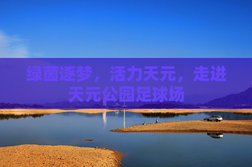绿茵逐梦,活力天元,走进天元公园足球场