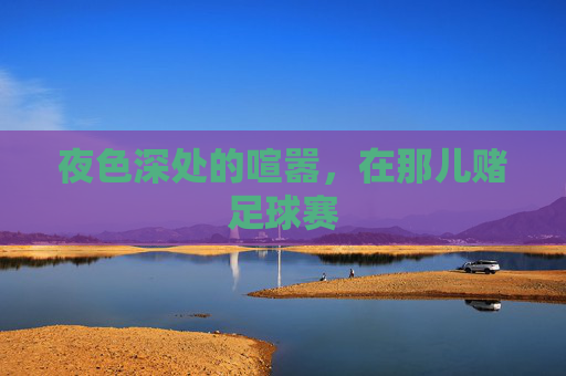 夜色深处的喧嚣，在那儿赌足球赛