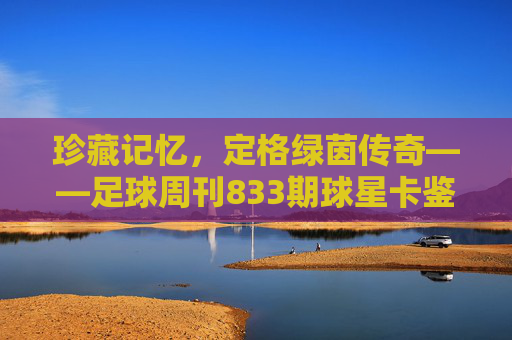 珍藏记忆,定格绿茵传奇——足球周刊833期球星卡鉴赏