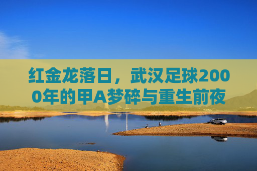 红金龙落日,武汉足球2000年的甲A梦碎与重生前夜