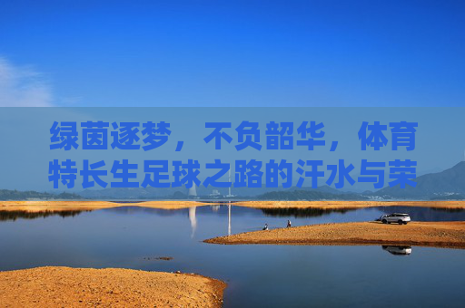 绿茵逐梦,不负韶华,体育特长生足球之路的汗水与荣耀