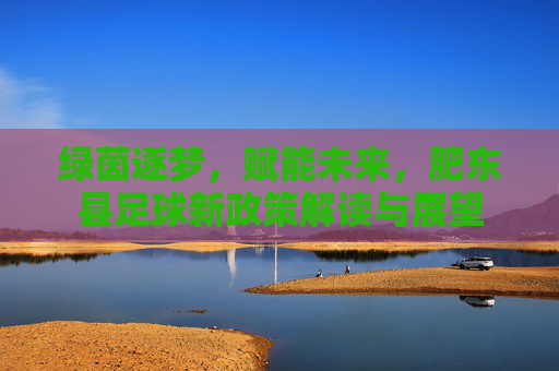 绿茵逐梦,赋能未来,肥东县足球新政策解读与展望