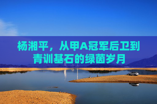 杨湘平,从甲A冠军后卫到青训基石的绿茵岁月