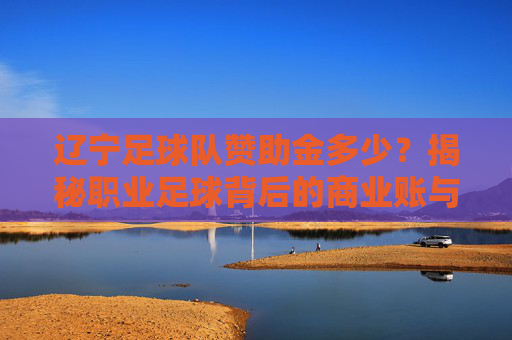 辽宁足球队赞助金多少?揭秘职业足球背后的商业账与复兴之路