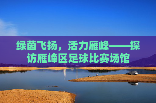 绿茵飞扬,活力雁峰——探访雁峰区足球比赛场馆