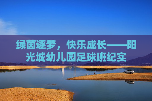 绿茵逐梦,快乐成长——阳光城幼儿园足球班纪实