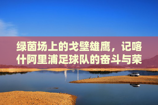 绿茵场上的戈壁雄鹰,记喀什阿里浦足球队的奋斗与荣光
