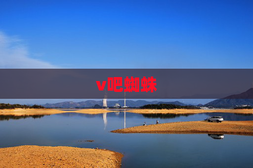 v吧蜘蛛