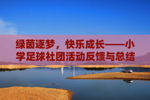 绿茵逐梦,快乐成长——小学足球社团活动反馈与总结