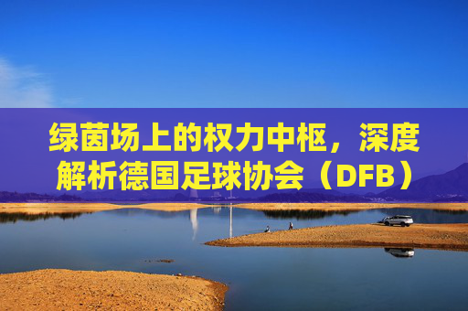 绿茵场上的权力中枢,深度解析德国足球协会(DFB)