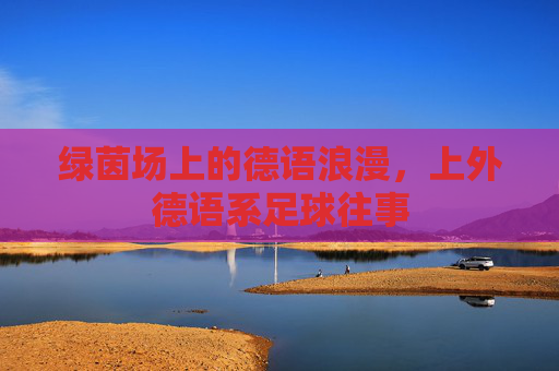 绿茵场上的德语浪漫,上外德语系足球往事