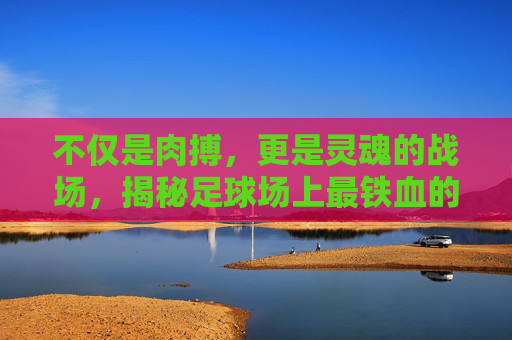 不仅是肉搏,更是灵魂的战场,揭秘足球场上最铁血的位置