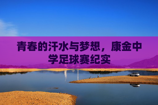 青春的汗水与梦想,康金中学足球赛纪实