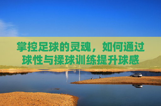 掌控足球的灵魂,如何通过球性与揉球训练提升球感