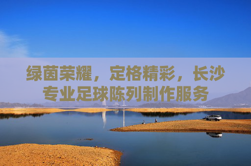 绿茵荣耀,定格精彩,长沙专业足球陈列制作服务