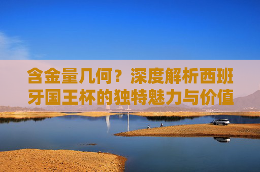 含金量几何?深度解析西班牙国王杯的独特魅力与价值