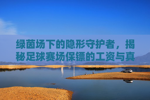 绿茵场下的隐形守护者,揭秘足球赛场保镖的工资与真相