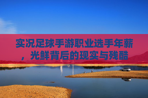 实况足球手游职业选手年薪,光鲜背后的现实与残酷